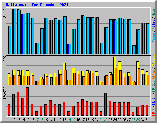 Daily usage for December 2024
