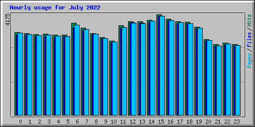Hourly usage for July 2022