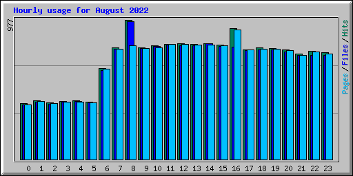 Hourly usage for August 2022