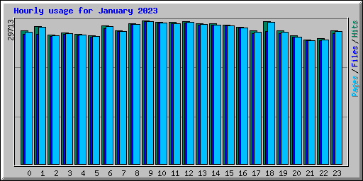 Hourly usage for January 2023