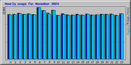 Hourly usage for November 2024