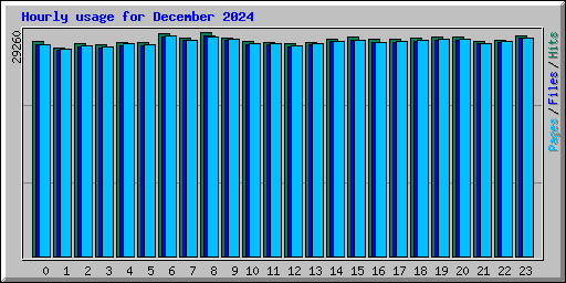 Hourly usage for December 2024