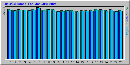 Hourly usage for January 2025