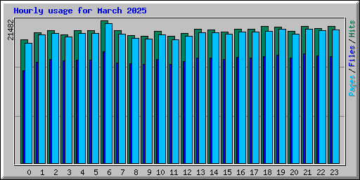 Hourly usage for March 2025